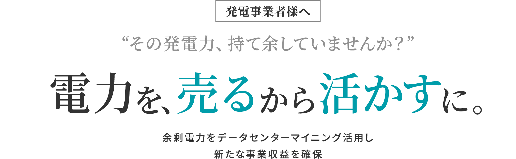 発電事業者様へ “その発電力、持て余していませんか?” 電力を、売るから活かすに。余剰電力をデータセンターマイニング活用し新たな事業収益を確保